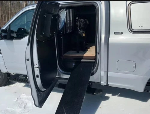 A K-9 Crew Cab pickup truck with a dog sitting that is outfitted with a custom cage.