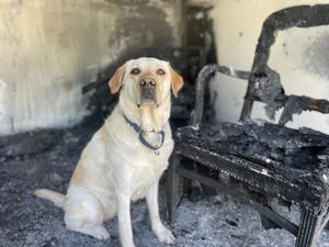 OSFM Canine at a fire scene