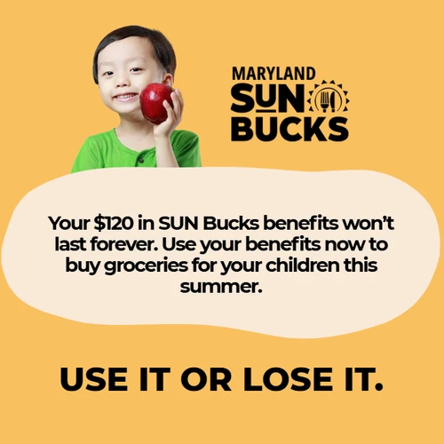 “Use It or Lose It” SUN Bucks static ad