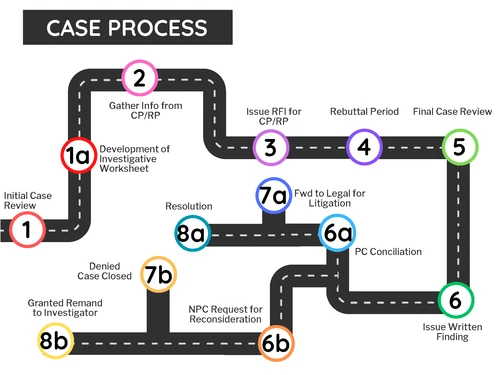 Case Process flow chart