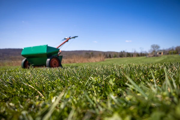 turfgrass with drop spreader in the background