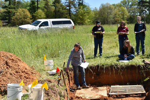 Soil health demo in a soil pit