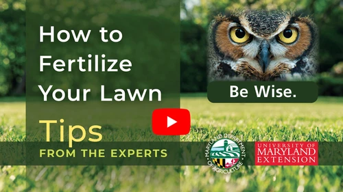 Owl with Be Wise Message on How to Fertilize Your Lawn - Tips from the Experts 