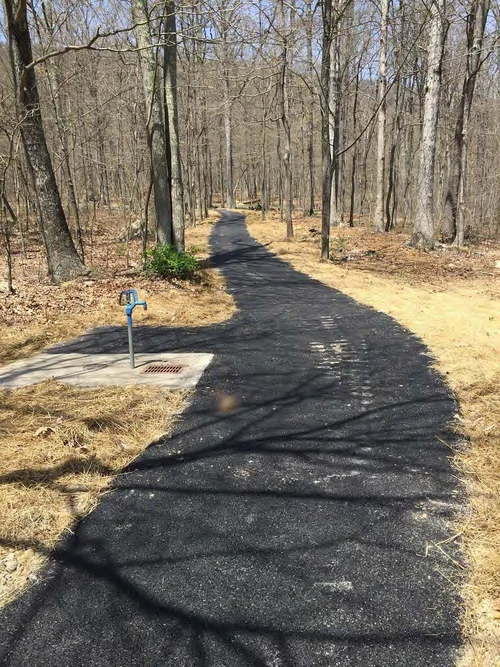 A newly paved blacktop trail curves through a leafless forest, with a blue water pump spigot on a small concrete pad beside the path.