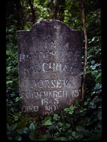 Old gravestone partially covered by green foliage, featuring weathered text.