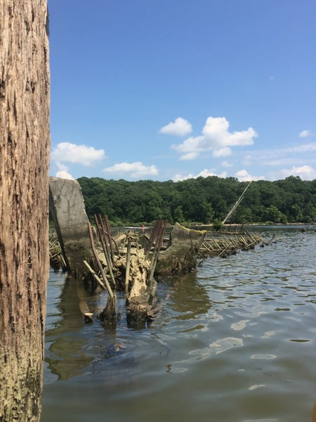 Partially submerged shipwreck with a wooden post, calm water, distant tree line, and blue sky with clouds.