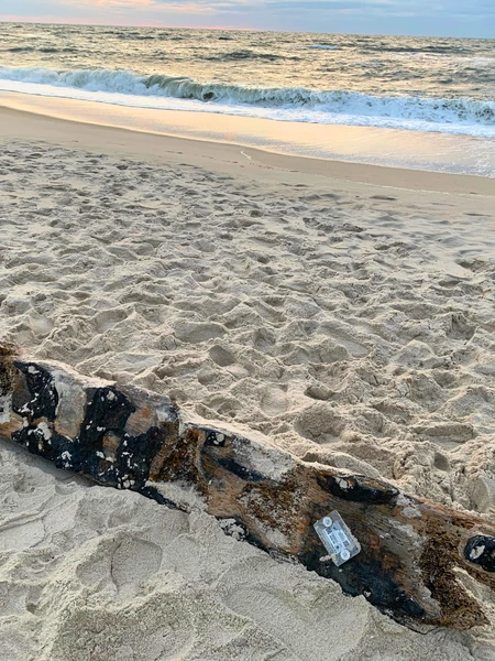 Weathered timber with identification tag lying on the beach.