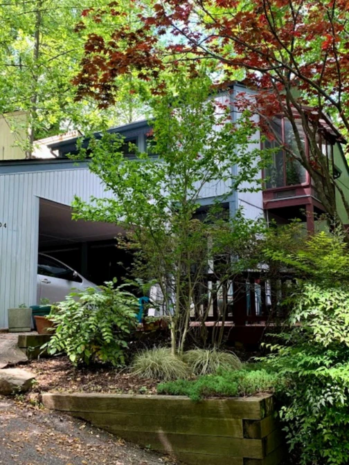 Modern grey house with a carport, nestled in a wooded setting with lush green foliage and a red maple tree.