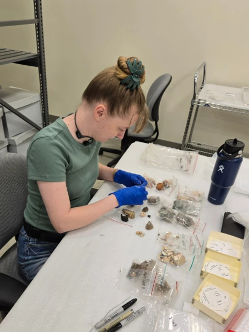 A researcher wearing blue gloves sorts and catalogs bagged archaeological artifacts at a table.