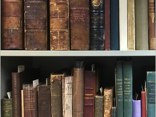 Shelves filled with old books of various colors and sizes, some leather-bound with faded text.
