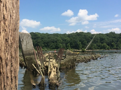Partially submerged shipwreck with a wooden post, calm water, distant tree line, and blue sky with clouds.