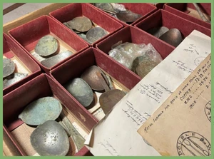 Multiple artifacts in a display case.