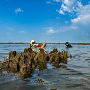 Submerged ship remains at Mallows Bay with researchers in the background under a blue sky.