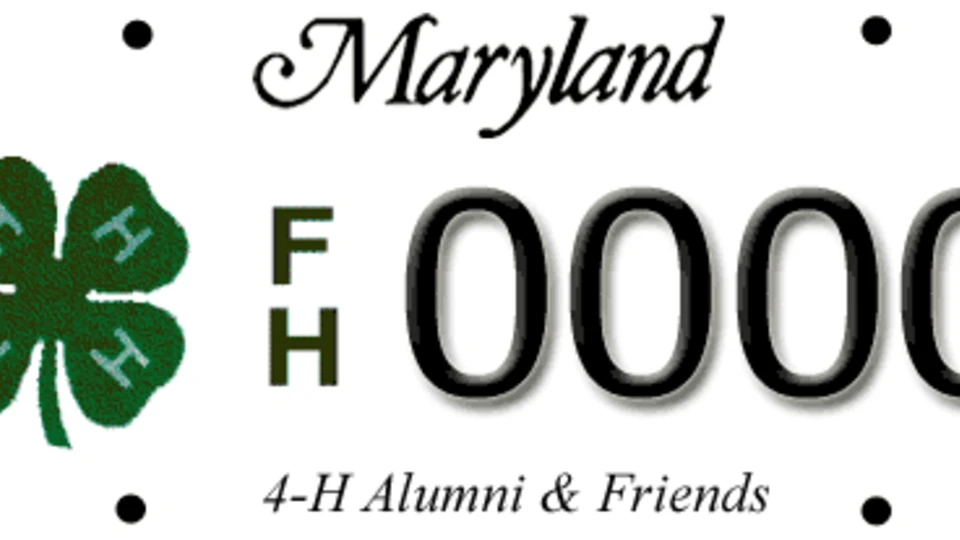 Maryland license plate featuring a green four-leaf clover with "H" on each leaf. Text reads "Maryland" and "4-H Alumni & Friends".