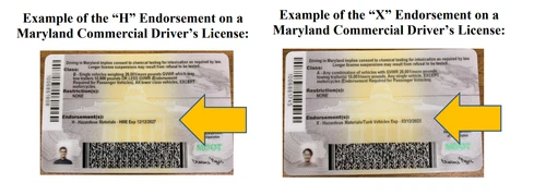 Example of the “H” Endorsement and “X” Endorsement on a Maryland Commercial Driver’s License