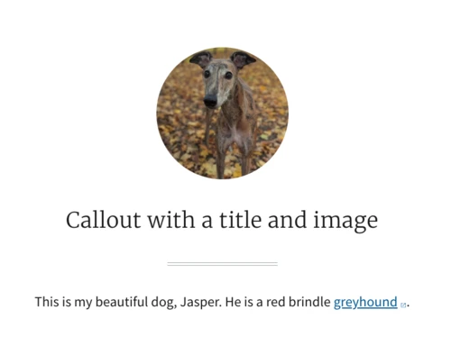 screenshot of a sample callout microcontent