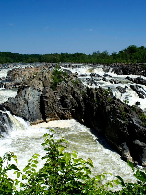 rocky waterfall and rapids surrounded by green forests