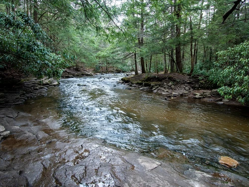 The Youghiogheny River passing through Swallow Falls State Park